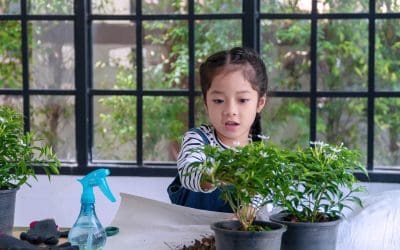 Gardening with Kids: A Fun and Educational Experience
