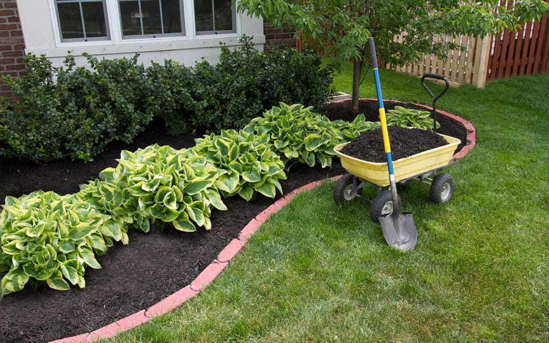 Easy Landscaping Tips